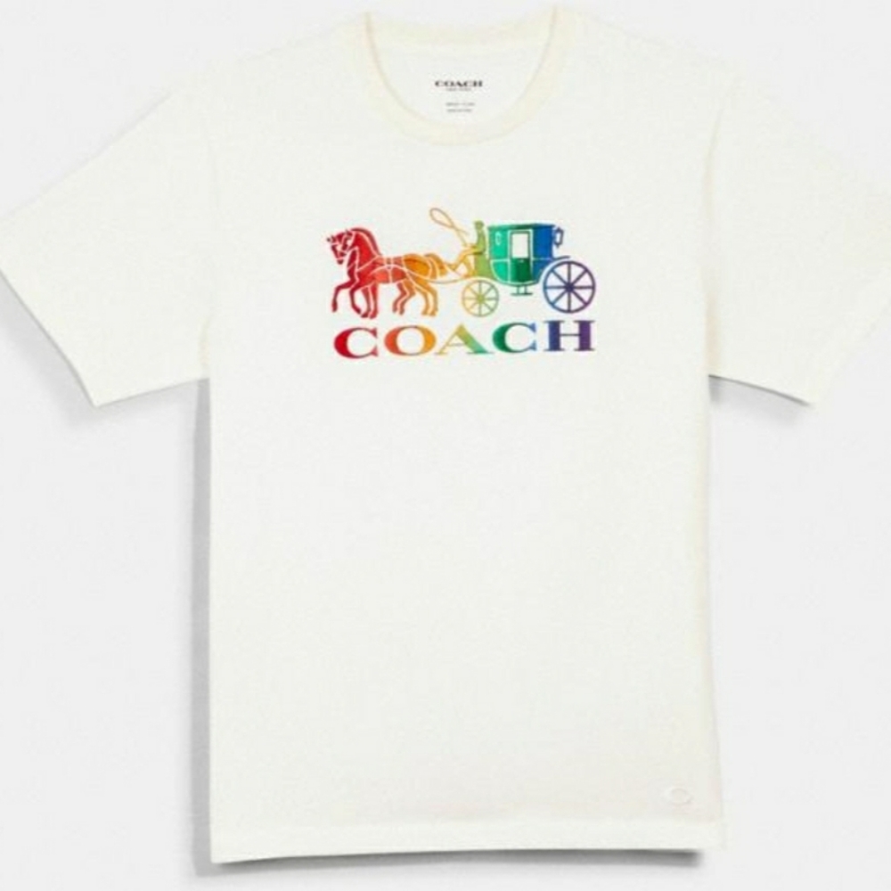Rainbow Horse and Carriage Coach T